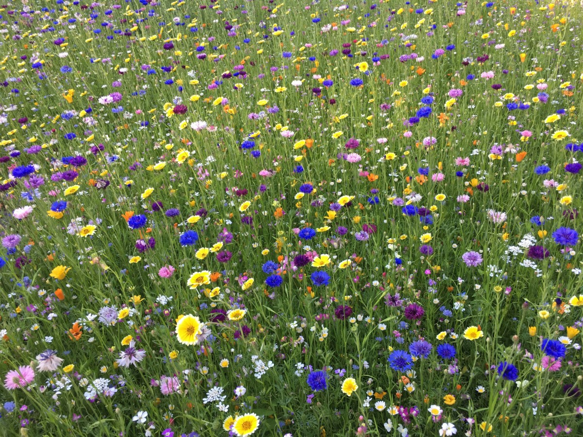 What is Gretyloutloud?